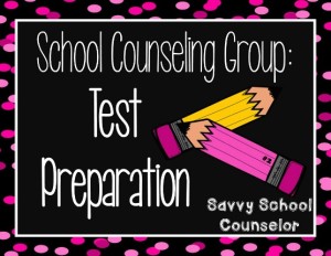 School Counseling Group:  Test Preparation - Savvy School Counselor