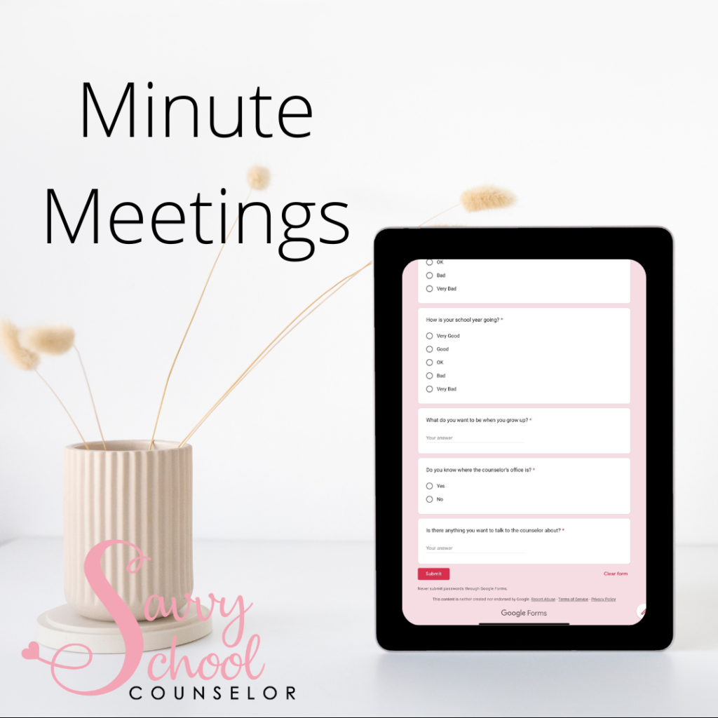 Minute Meetings - Savvy School Counselor